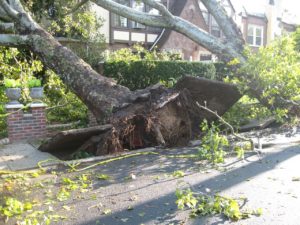 Storm Damage to home