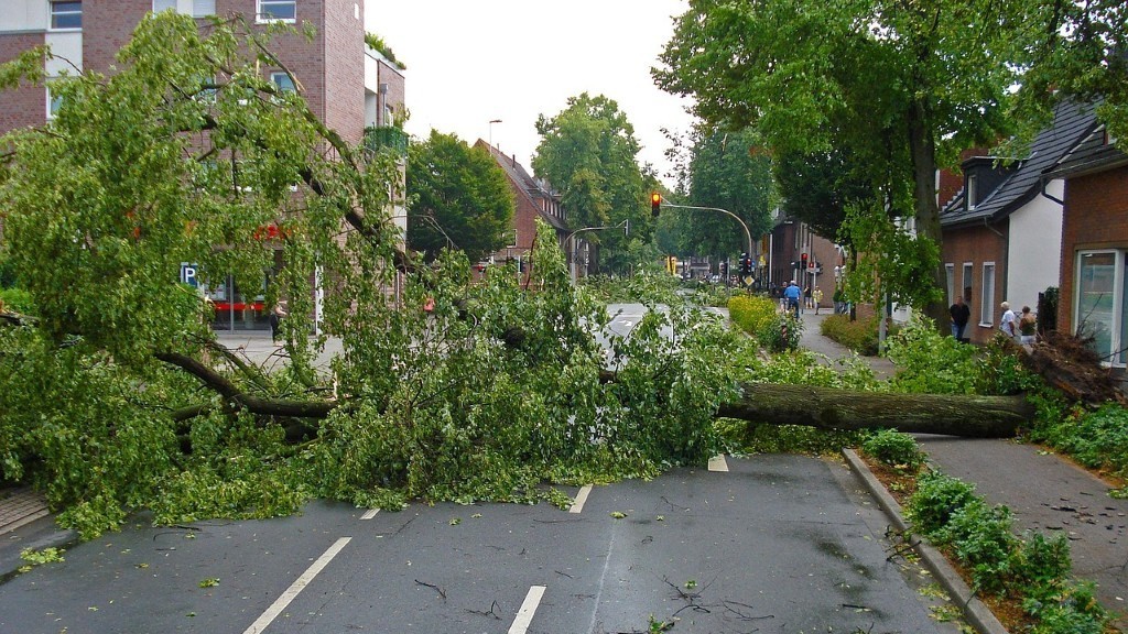 Storm Damage to home