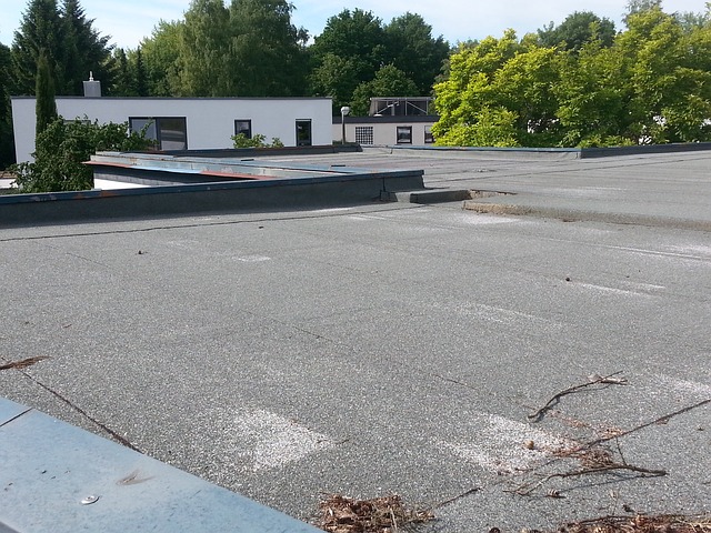 Flat Roof Property Risks