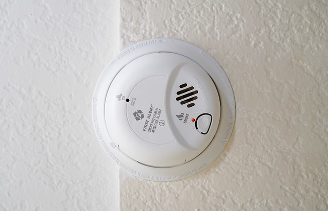 Home Smoke Detector